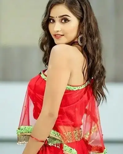 Escort In Narasaraopet